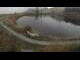 Webcam in Scheffau am Wilden Kaiser, 2.1 mi away