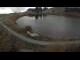 Webcam in Scheffau am Wilden Kaiser, 2.1 mi away