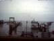 Webcam in Elisabeth-Sophien-Koog, 9.3 mi away