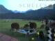 Webcam in Oberstdorf, 0.5 km