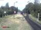 Webcam in Wernigerode, 0.8 mi away