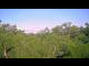 Webcam in Metairie, Louisiana, 71.4 km