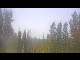 Webcam in Saint Petersburg, Florida, 47.1 km entfernt
