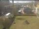 Webcam in Dörentrup, 7 mi away