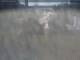 Webcam in Dörentrup, 18 km entfernt