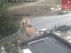 Webcam in Kelchsau, 8 km entfernt