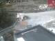 Webcam in Kelchsau, 8.3 km