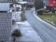 Webcam in Alpbach, 1.9 km