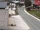 Webcam in Alpbach, 1.1 mi away