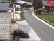 Webcam in Alpbach, 2.7 km