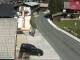 Webcam in Alpbach, 1.1 mi away
