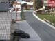 Webcam in Alpbach, 1.1 mi away