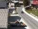 Webcam in Alpbach, 1.1 mi away