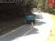 Webcam in Hopfgarten im Brixental, 1.2 mi away
