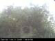 Webcam in Presseggersee, 5.4 km