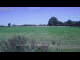 Webcam in 't Zandt, 28.6 km entfernt