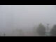 Webcam in Torfhaus, 4.6 km
