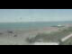 Webcam in Canet-en-Roussillon, 0 mi away