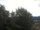 Webcam in Gmund am Tegernsee, 1.8 mi away