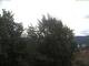 Webcam in Gmund am Tegernsee, 4.6 km