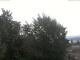 Webcam in Gmund am Tegernsee, 1.8 mi away