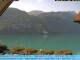 Webcam in Brienz, 3 mi away