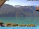 Webcam in Brienz, 1.4 mi away