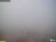 Webcam Gyomaendrőd