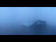 Webcam am Gemmipass, 10.8 km entfernt