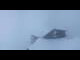 Webcam in Paso Gemmi, 10.8 km