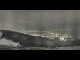 Webcam in Pfänder, 0 mi away