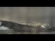 Webcam in Pfänder, 0 km