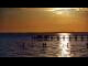 Webcam in Bokeelia, Florida, 28.6 km entfernt