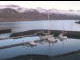 Webcam in Stöðvarfjörður, 2.6 mi away