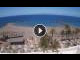 Webcam in Playa de las Americas (Tenerife), 0.8 mi away