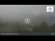 Webcam in Stiergarten, 2.1 km