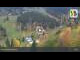 Webcam in Rokytnice nad Jizerou, 4.2 mi away