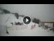 Webcam in Bormio, 5.5 km