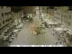 Webcam in Caldaro al Lago, 10.1 km