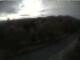 Webcam in Schierke, 1.1 mi away