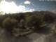 Webcam in Schierke, 0.3 km entfernt