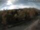 Webcam in Schierke, 0.3 km entfernt