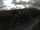 Webcam in Schierke, 0.1 mi away
