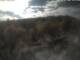 Webcam in Schierke, 1.1 mi away
