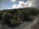 Webcam in Schierke, 4.8 km entfernt