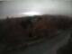 Webcam in Schierke, 0.3 km entfernt