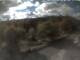 Webcam in Schierke, 1.9 mi away