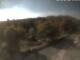 Webcam in Schierke, 1.9 mi away