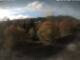 Webcam in Schierke, 9 km