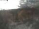 Webcam in Schierke, 0.1 mi away